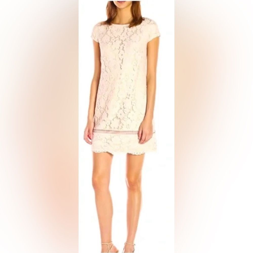 Vince Camuto Cap Sleeves Mini Blush Pink Lace Sheath‎ Dress Size 8